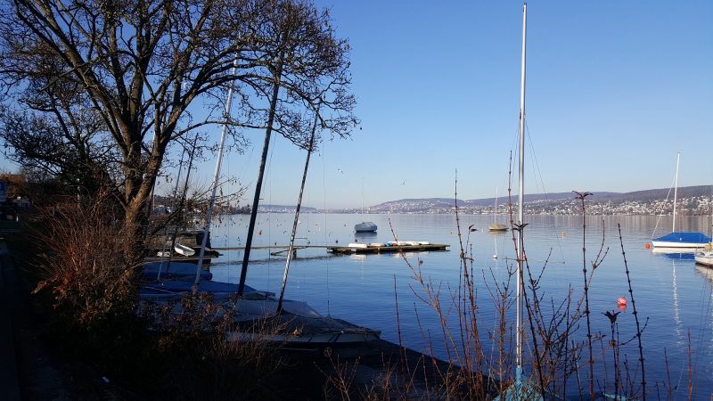 Zürichsee bei Thalwil