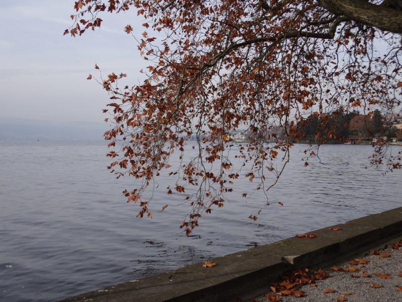 Am Zürichsee
