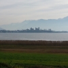 Rapperswil im Morgeschleier