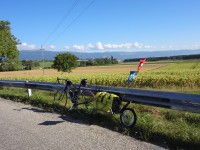 ein letzter Blick auf den Jura
