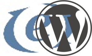 Auf der Suche nach dem optimalen Aussehen