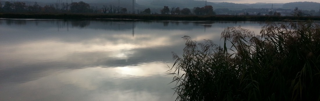 Novemberstimmung am Klingnauer Stausee