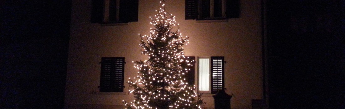 Weihnachtsbaum in Ehrendingen