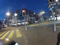 Einer der letzten Bäume