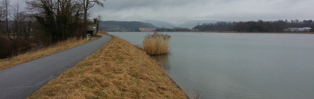 am Klingnauer Stausee