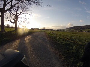 Abendsonne im Wehntal