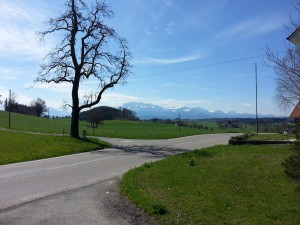 Blick in die verschneiten Alpen