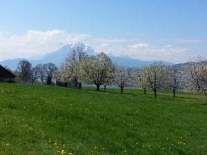 am Vierwaldstättersee