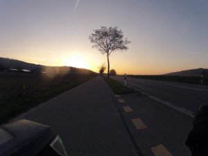 Sonnenaufgang im Furttal