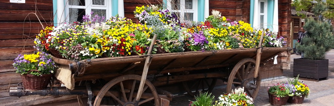 Blumenwagen