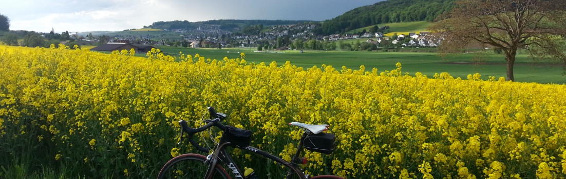 Dem Regen ausgewichen