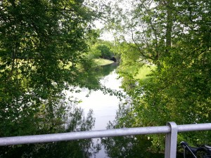 Seitenkanal im Grünen