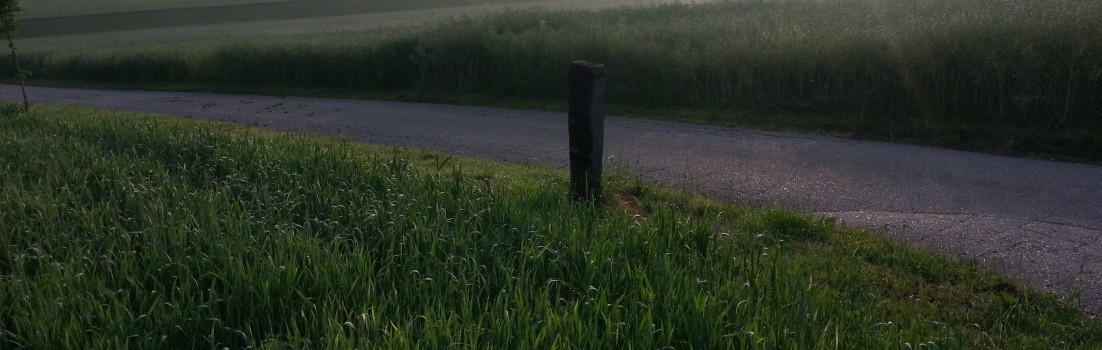 Bodennebel im Furttal