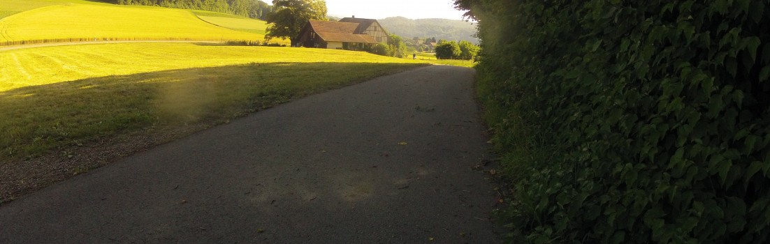 Oberhalb Hertenstein