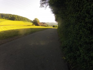 Oberhalb Hertenstein