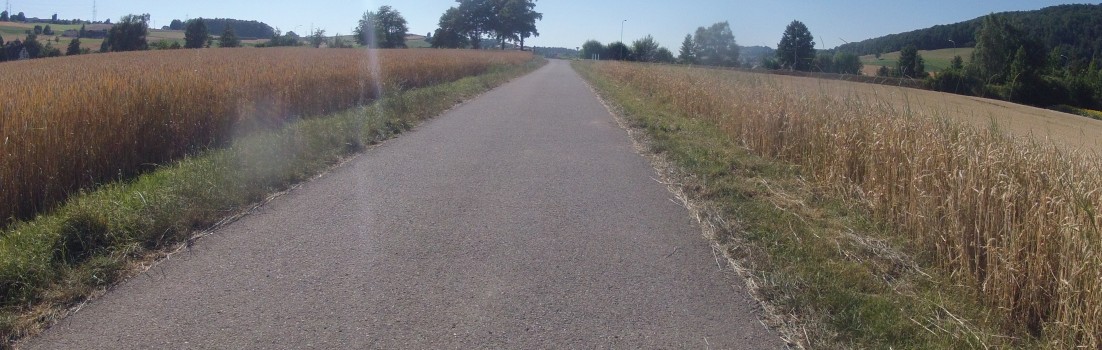 Zwischen den Getreidefeldern im Surbtal