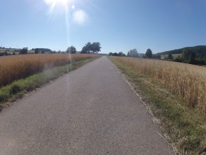 Zwischen den Getreidefeldern im Surbtal