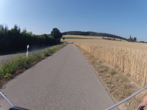 Getreidefeld im Bachsertal