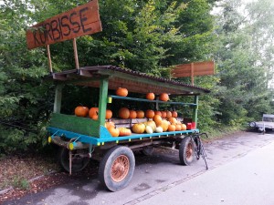 Der Kürbiswagen
