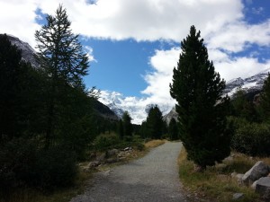 am Taleingang zum Morteratschgletscher