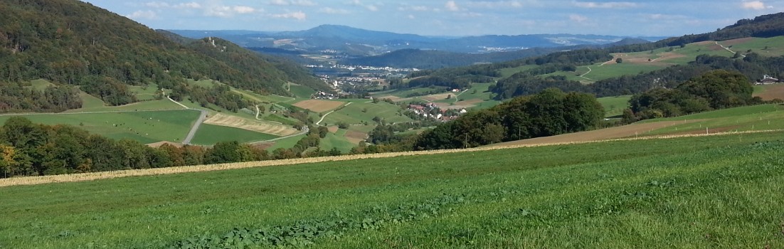 gemütliche Runde über die Haushügel