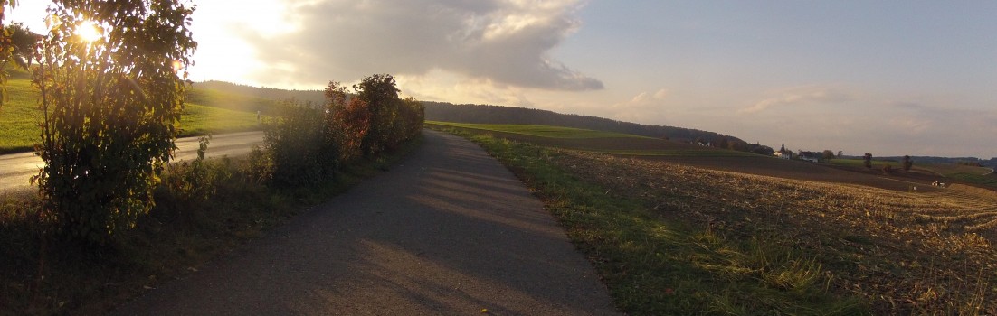 Herbstliches Gegenlicht