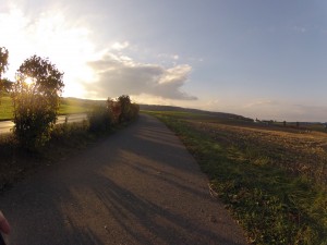 Herbstliches Gegenlicht