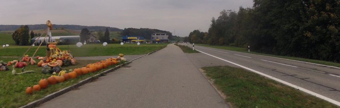 Kürbisse am Wegrand