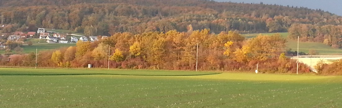 Saubere Strassenränder