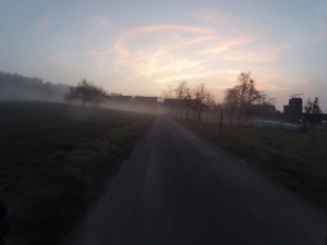 Morgennebel