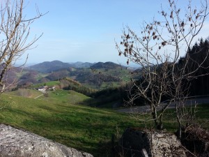 vom Chilchzimmersattel