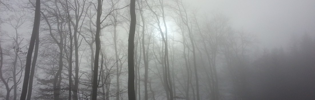 Nebel am Bruggerberg