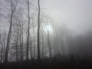 Nebel am Bruggerberg