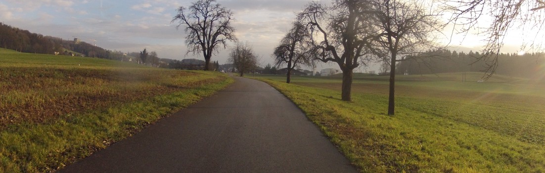 im Reusstal bei Künten