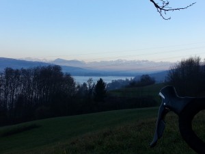 am Hallwilersee