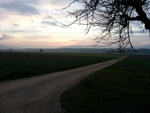 Das letzte Glühen am Horizont