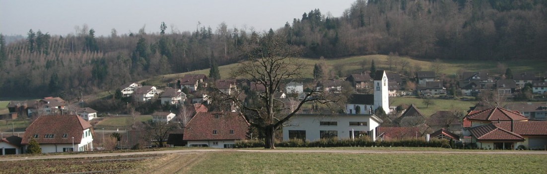 Ammerswil