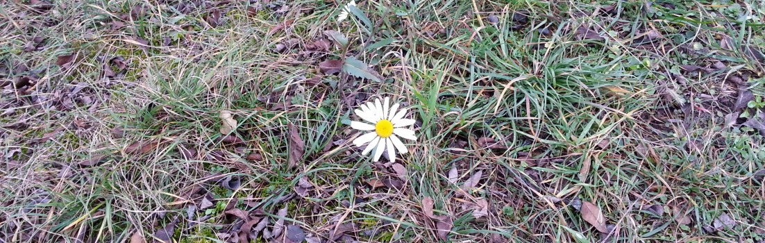 Neujahrsrunde am Stausee