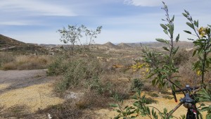 Kurz vor La Rambla Honda