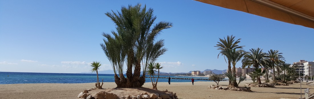 am Strand von Aguilas