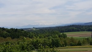 Blick zum Alpenkamm
