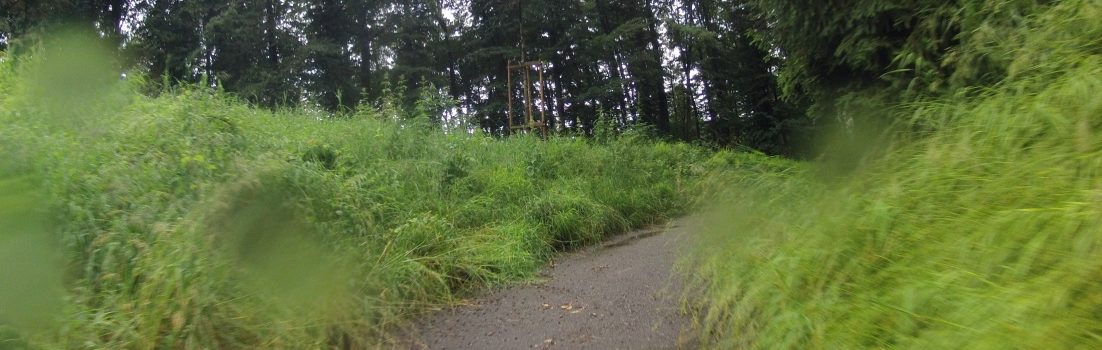 Rundfahrt um Aaremündung und Wasserschloss