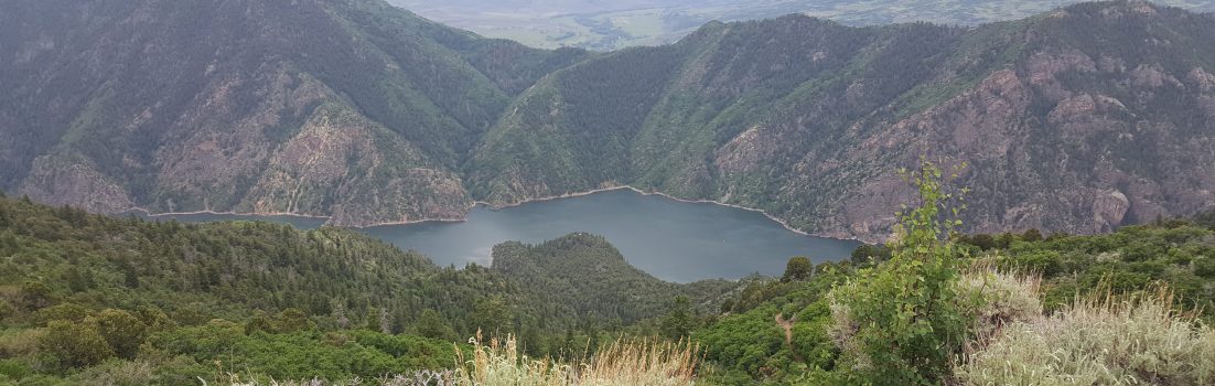 Rocky Mountains Tour, Tag 6, Montrose nach Paonia