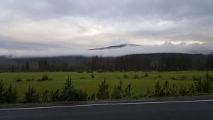 Mystischer Nationalpark