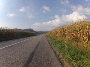 Villigerfeld im Herbst