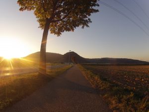 Abendsonne auf dem Villigerfeld