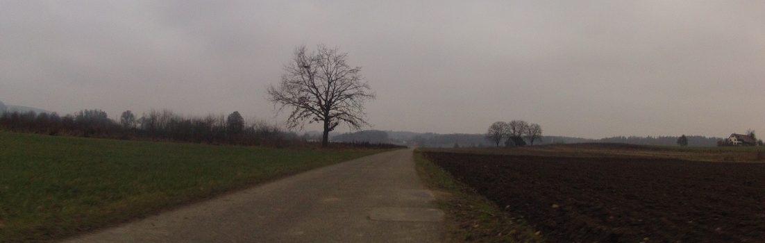 Winterstimmung im Bünztal