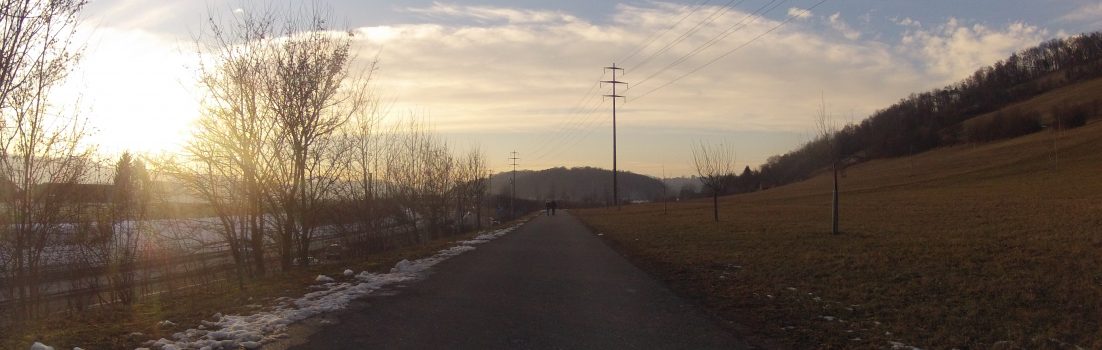 Abendsonne im Birrfeld