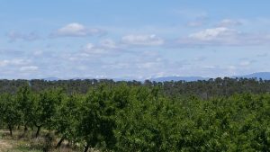 Pyrenäen in Griffnähe