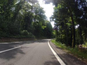 Am Weg zur Ampferenhöhe